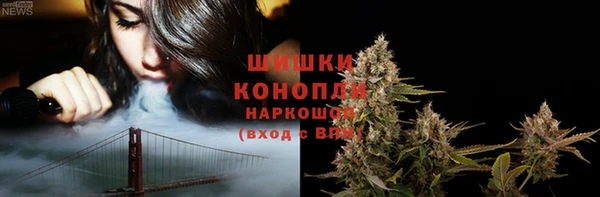 альфа пвп Новодвинск
