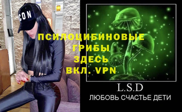 альфа пвп Новодвинск