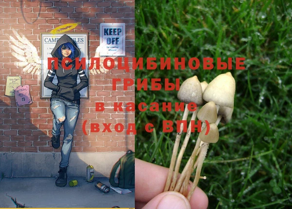 первитин Новокубанск
