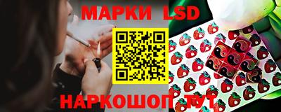 крисы Будённовск