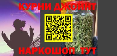 крисы Будённовск