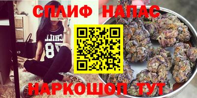 крисы Будённовск