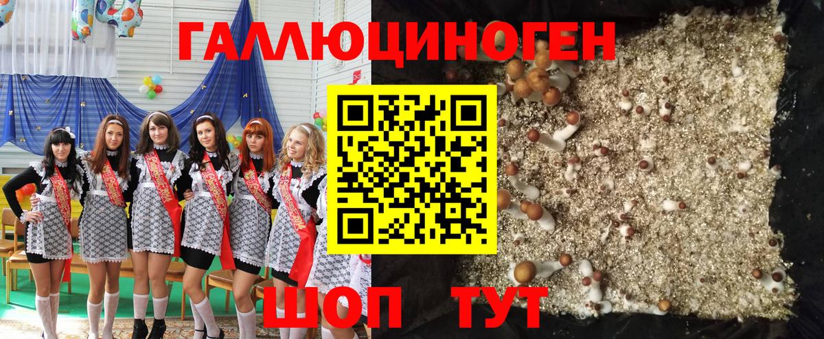 Псилоцибиновые грибы прущие грибы  Вход с VPN  Вольск 